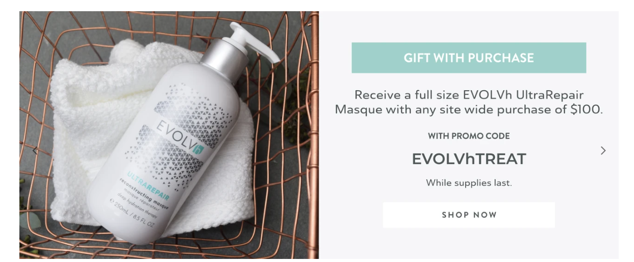 Safe & Chic Free Gift with Purchase iloveGWP